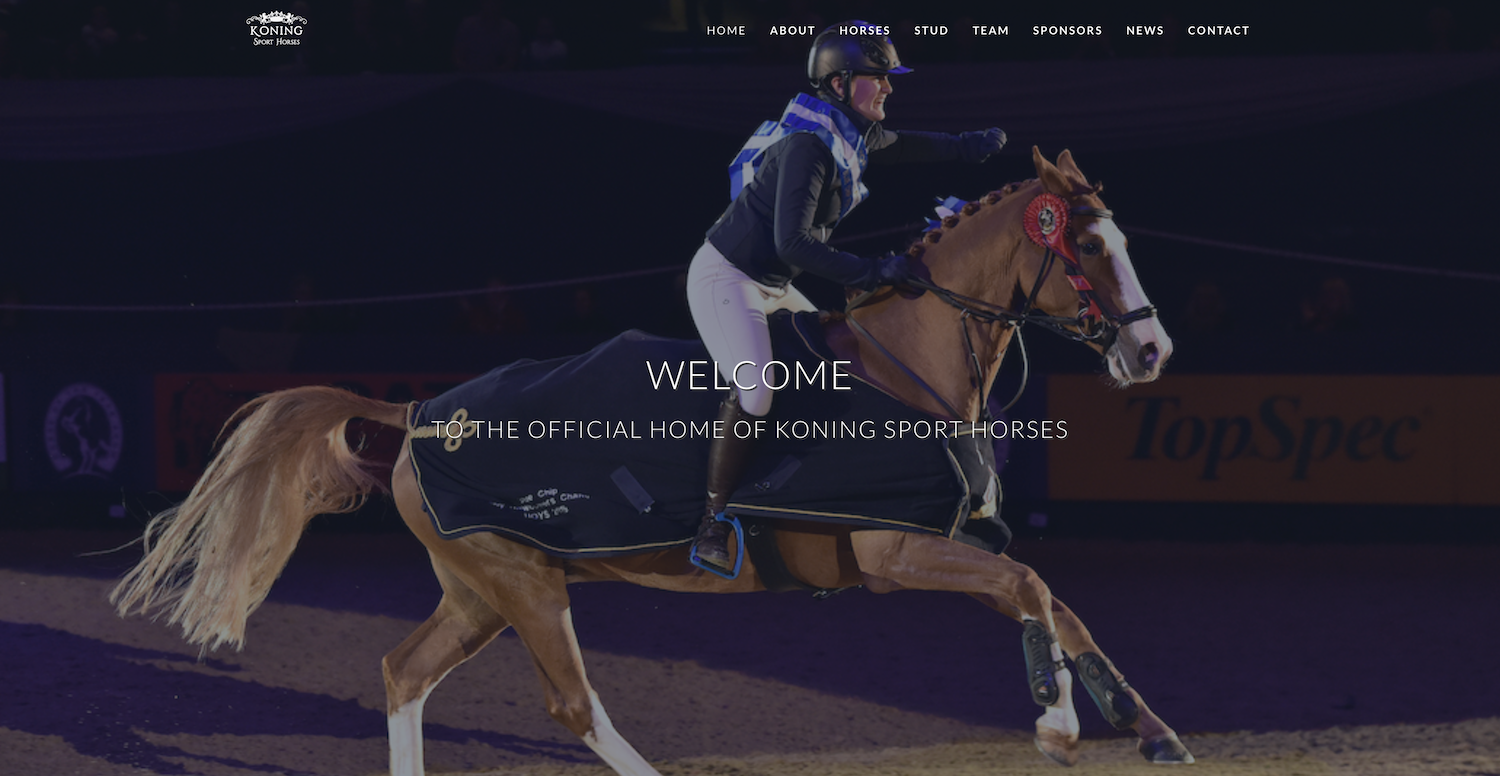 Koning Sports Horses by WA Designs