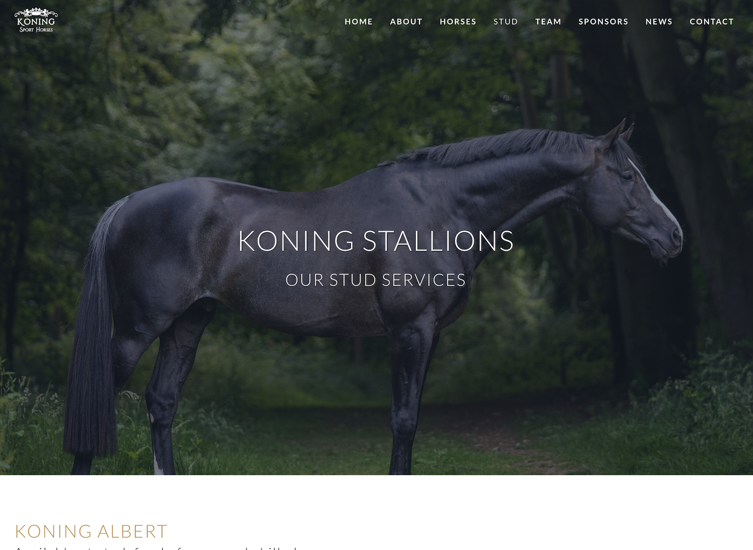 Koning Sports Horses by WA Designs