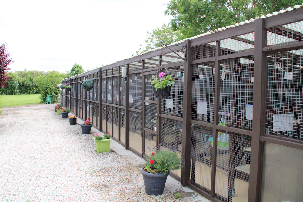 Appleby Country Cattery by WA Designs