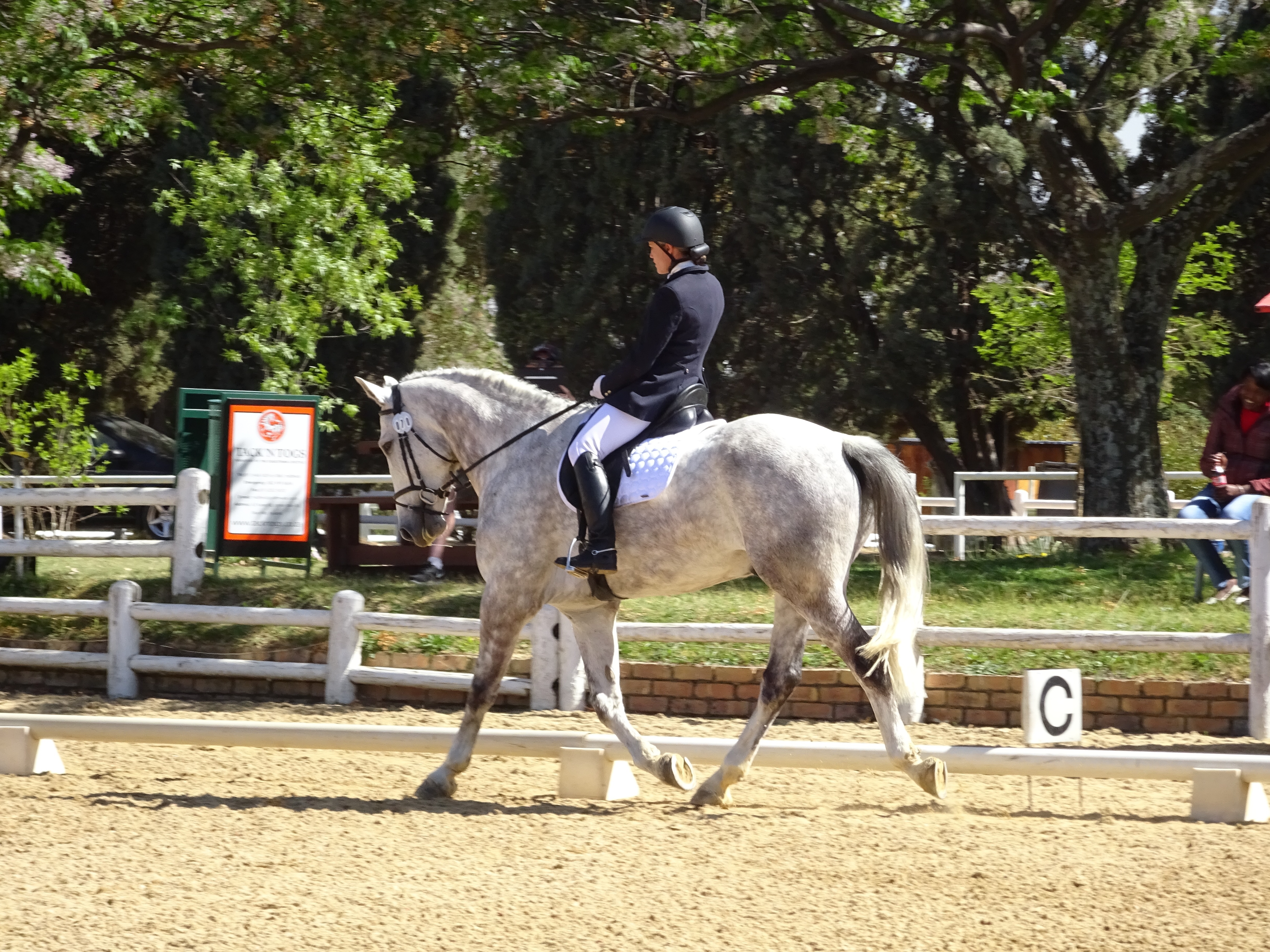 Horse and rider taking part in a North Lincs Riding Club training clinic with professional instruction.