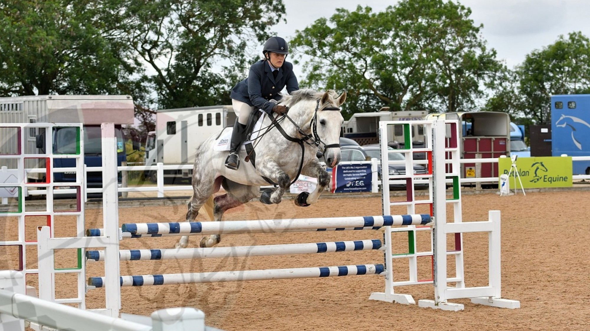 Forces Equine
