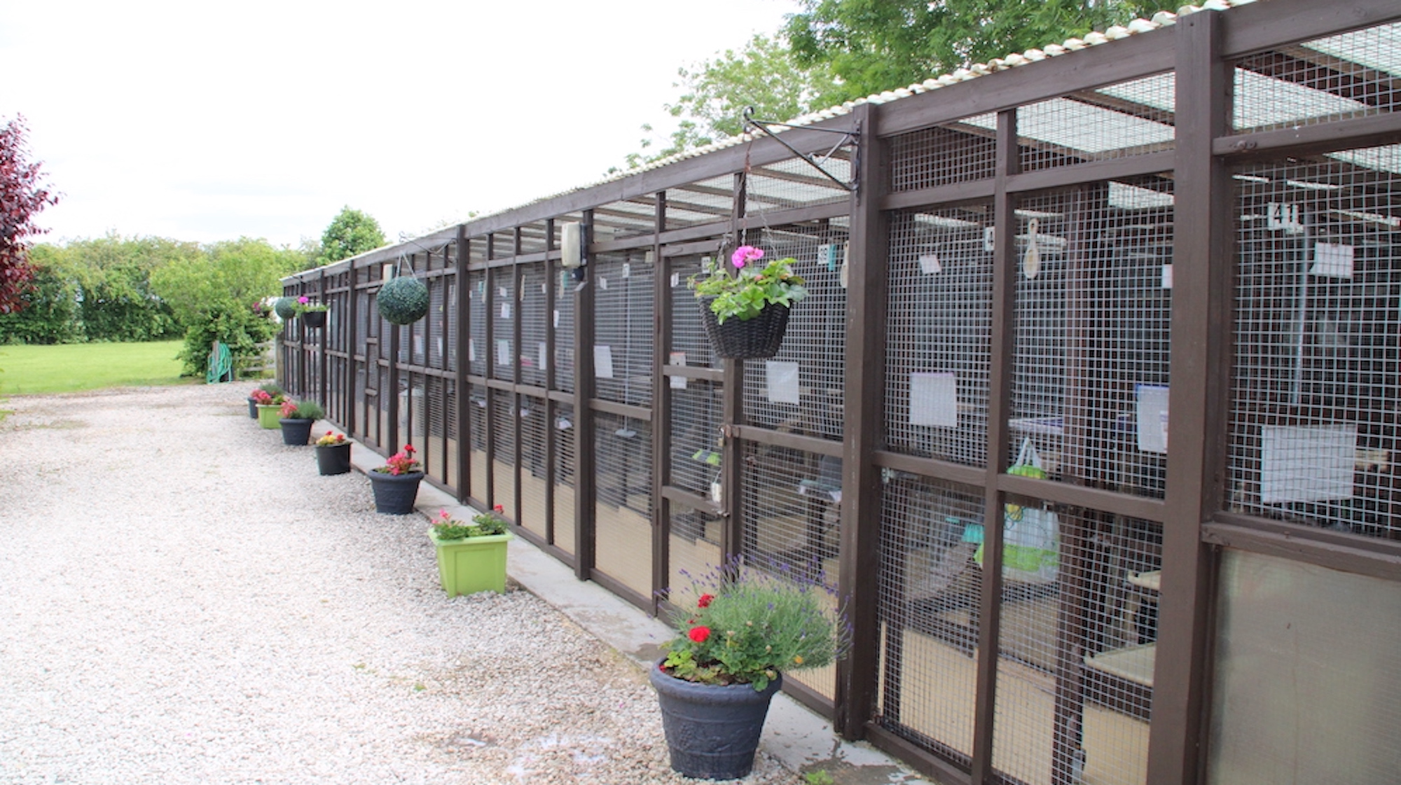 Appleby Country Cattery