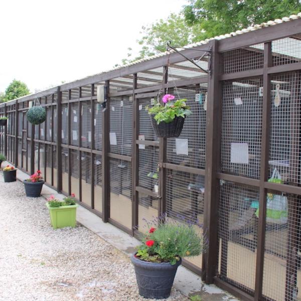 Appleby Country Cattery