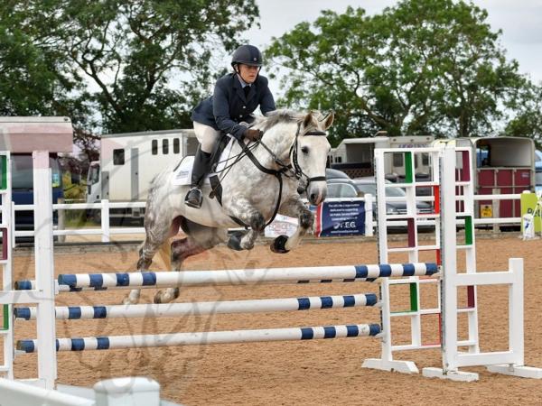 Forces Equine