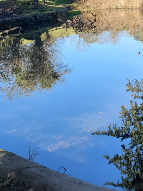 Winterbourne Parish Council